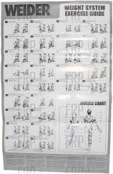 Chart, Exercise - Product Image
