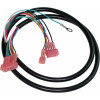 6039832 - LOWER WIRE HARNESS - Product Image