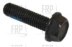 Screw - Product Image