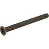 Screw - Product Image