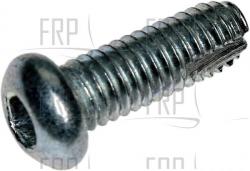 Screw - Product Image