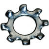 6044418 - Washer, Star - Product Image