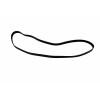 Belt - Product Image