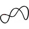 43004853 - Belt - Product Image
