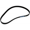 35002898 - Belt, Drive - Product Image