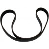43006230 - Belt, Drive - Product Image 43006230 - Belt, Drive - Product Image