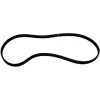 49006274 - Belt, Drive - Product Image
