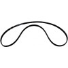 49006327 - Belt, Drive - Product Image