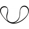 49006275 - Belt, Drive - Product Image 49006275 - Belt, Drive - Product Image