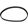 49006319 - Belt, Drive - Product Image