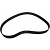49031746 - Belt;POLY-V;Flexonic;1250-J13;;HUTCHINSO - Product Image