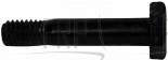 Bolt - 3/8"X50L(WHORL 14L) - Product Image