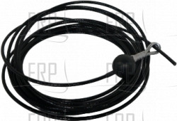 Cable Assembly 100" - Product Image