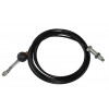 18002937 - Cable, Curl, Bicep - Product Image