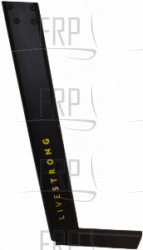 CONSOLE MAST;R;PP;LIVESTRONG;TM438; - Product Image