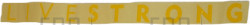 Decal, Livestrong Logo - Product Image