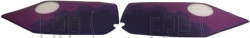 Decal; PF Upright Bike Panels ID SR30 - Product Image
