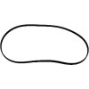 49006334 - MULTI-GROOVE BELT - Product Image