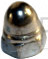 Nut, Acorn - Product Image