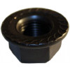 43000157 - Nut, Hex, Flange - Product Image 43000157 - Nut, Hex, Flange - Product Image