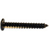 43004976 - OVAL-TAPPING PHILLIP SCREW 5x38L - Product Image 43004976 - OVAL-TAPPING PHILLIP SCREW 5x38L - Product Image