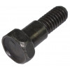 Screw - Product Image