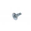 Screw - Product Image