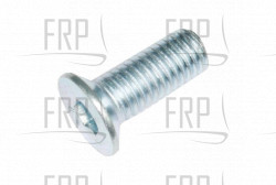 Screw - Product Image