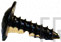 Screw - Product Image