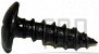 Screw - Product Image