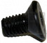 Screw - Product Image
