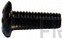 Screw - Product Image