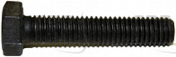 Screw - Product Image