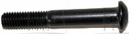 Screw - Product Image