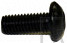 Screw - Product Image