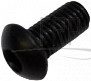 Screw - Product Image