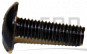 Screw - Product Image
