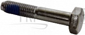 Screw - Product Image
