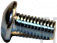 Screw - Product Image
