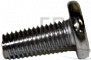 Screw - Product Image