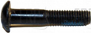 Screw - Product Image