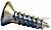 Screw - Product Image