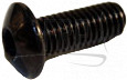 Screw - Product Image