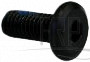 SCREW - Product Image