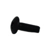 49000509 - SCREW, BH, M4X0.7PX12L, CT, PH, BZN, - Product Image