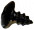 Screw, Heart Rate Board - Product Image