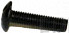 Screw, Oval Head - Product Image