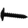 35000895 - Screw, Oval-Tapping - Product Image 35000895 - Screw, Oval-Tapping - Product Image