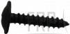 Screw, Oval-Tapping - Product Image
