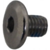 49021255 - Screw, Thin Head, M8x1.25Px10L, HS, CHM, - Product Image